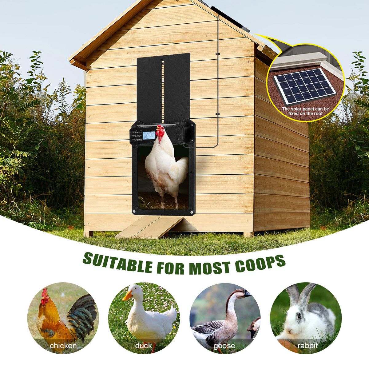 https://img.bestdeals.co.nz/products_pictures/759/75968_728067_F.jpg