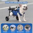 Dog Wheelchair for Back Legs,Dog Wheelchair Cart,Doggy/cat Wheelchair with Disabled Hind Legs Walking,Mobility Aids for Small Pets Hind Limbs,Dog Carts with Wheels,Light Weight,Size:XS