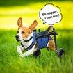 Dog Wheelchair for Back Legs,Dog Wheelchair Cart,Doggy/cat Wheelchair with Disabled Hind Legs Walking,Mobility Aids for Small Pets Hind Limbs,Dog Carts with Wheels,Light Weight,Size:XS