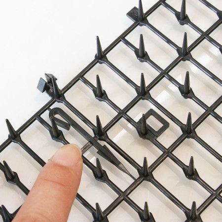 https://img.bestdeals.co.nz/products_pictures/760/76051_729018_F.jpg