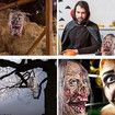 Halloween Decoration Props, Scary Hanging Severed Head Life Size Latex Zombie Head for Halloween Party Indoor Outdoor Bar Haunted House Decor