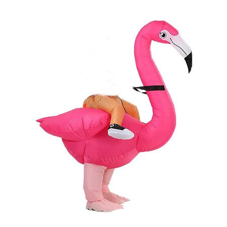 https://img.bestdeals.co.nz/products_pictures/763/76370_732107_F.jpg