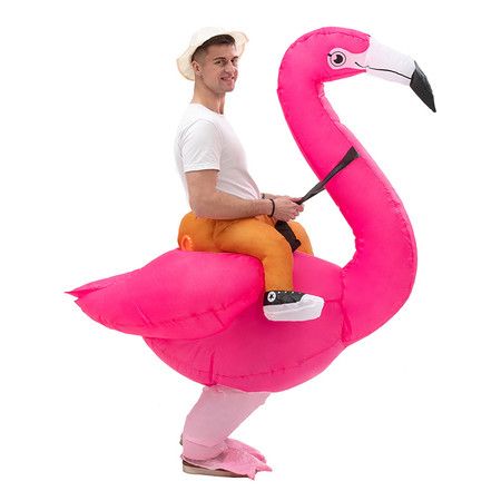 https://img.bestdeals.co.nz/products_pictures/763/76370_732108_F.jpg
