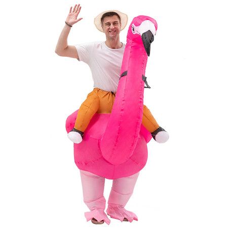 https://img.bestdeals.co.nz/products_pictures/763/76370_732110_F.jpg