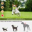 Automatic Ball Launcher for Small and Medium Dogs, Indoor and Outdoor Tennis Ball Thrower, 6PCS Mini Tennis Balls,Green