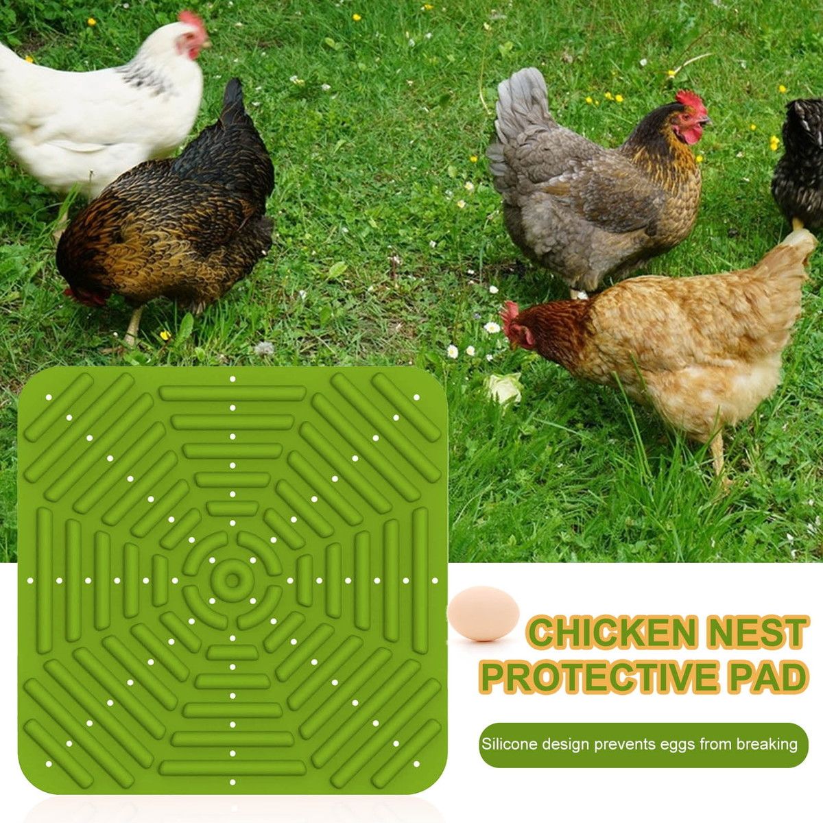 https://img.bestdeals.co.nz/products_pictures/771/77138_739868_F.jpg