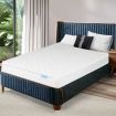Mattress Spring Coil Bonnell Single