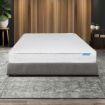 Mattress Spring Coil Bonnell Single