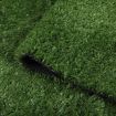 Artificial Grass Synthetic Turf 1x10m 10SQM