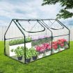 Greenhouse Flower Garden Shed