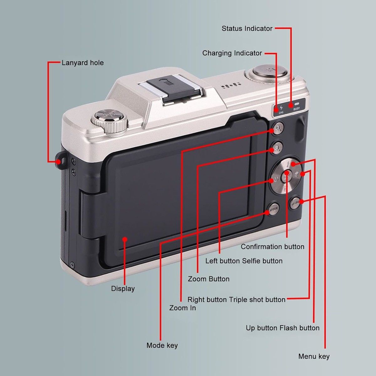 https://img.bestdeals.co.nz/products_pictures/775/77567_743164_F.jpg