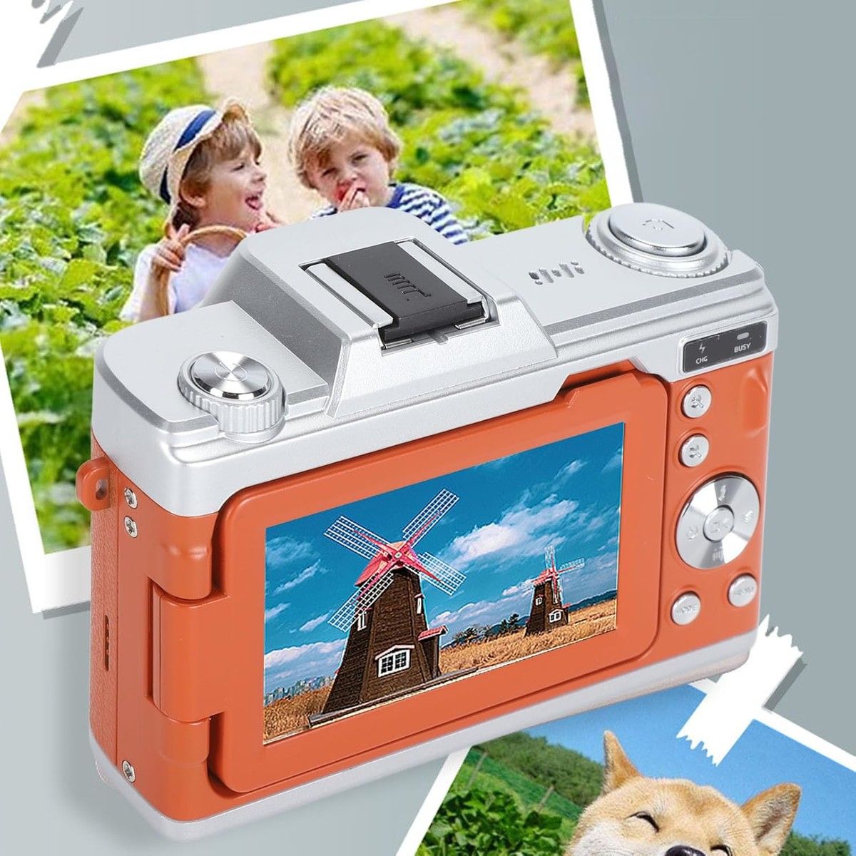 https://img.bestdeals.co.nz/products_pictures/775/77568_743174_F.jpg