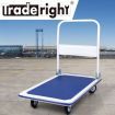 Folding Platform Trolley