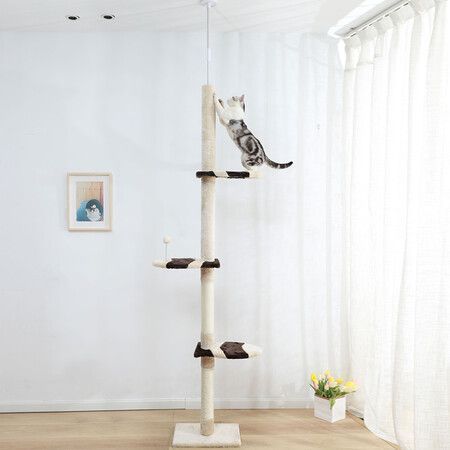 https://img.bestdeals.co.nz/products_pictures/777/77772_744871_F.jpg
