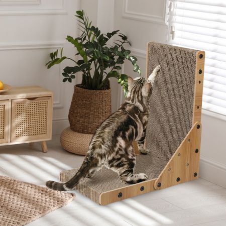 https://img.bestdeals.co.nz/products_pictures/777/77787_744924_F.jpg