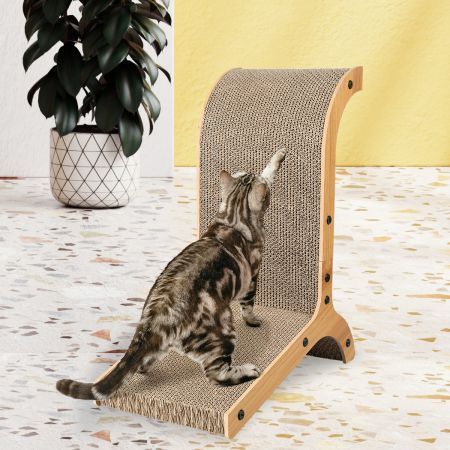 https://img.bestdeals.co.nz/products_pictures/777/77789_744939_F.jpg