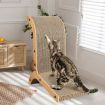 Cat Scratch Pad Cardboard Kitten