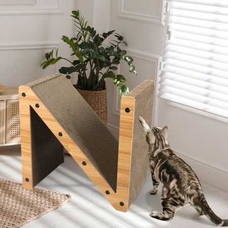 https://img.bestdeals.co.nz/products_pictures/777/77792_744964_F.jpg