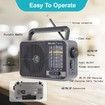 AM FM Radio Portable Transistor Speaker Battery Powered USB DC Small Loud Indoor Outdoor Emergency Camping Use