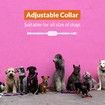 Dog Shock Collar for 10 to 110lbs, Waterproof Rechargeable Electric Dog Training Collar with Remote for Small Medium Large Dogs