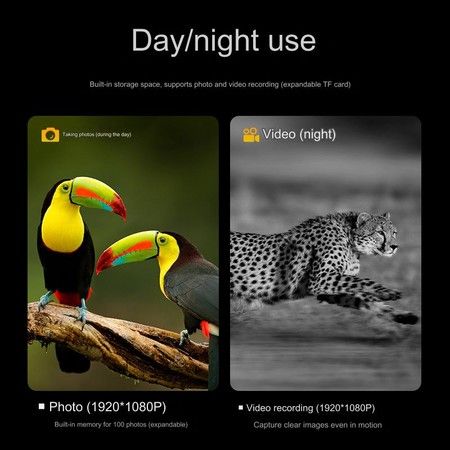 https://img.bestdeals.co.nz/products_pictures/780/78035_747238_F.jpg