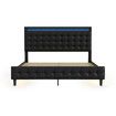 LED Bed Frame Double Size Mattress Base Wooden Platform Foundation with Headboard Bedhead Sleep Bedroom Furniture Upholstered Black PU Metal