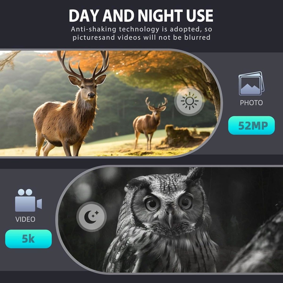 https://img.bestdeals.co.nz/products_pictures/780/78076_747678_F.jpg