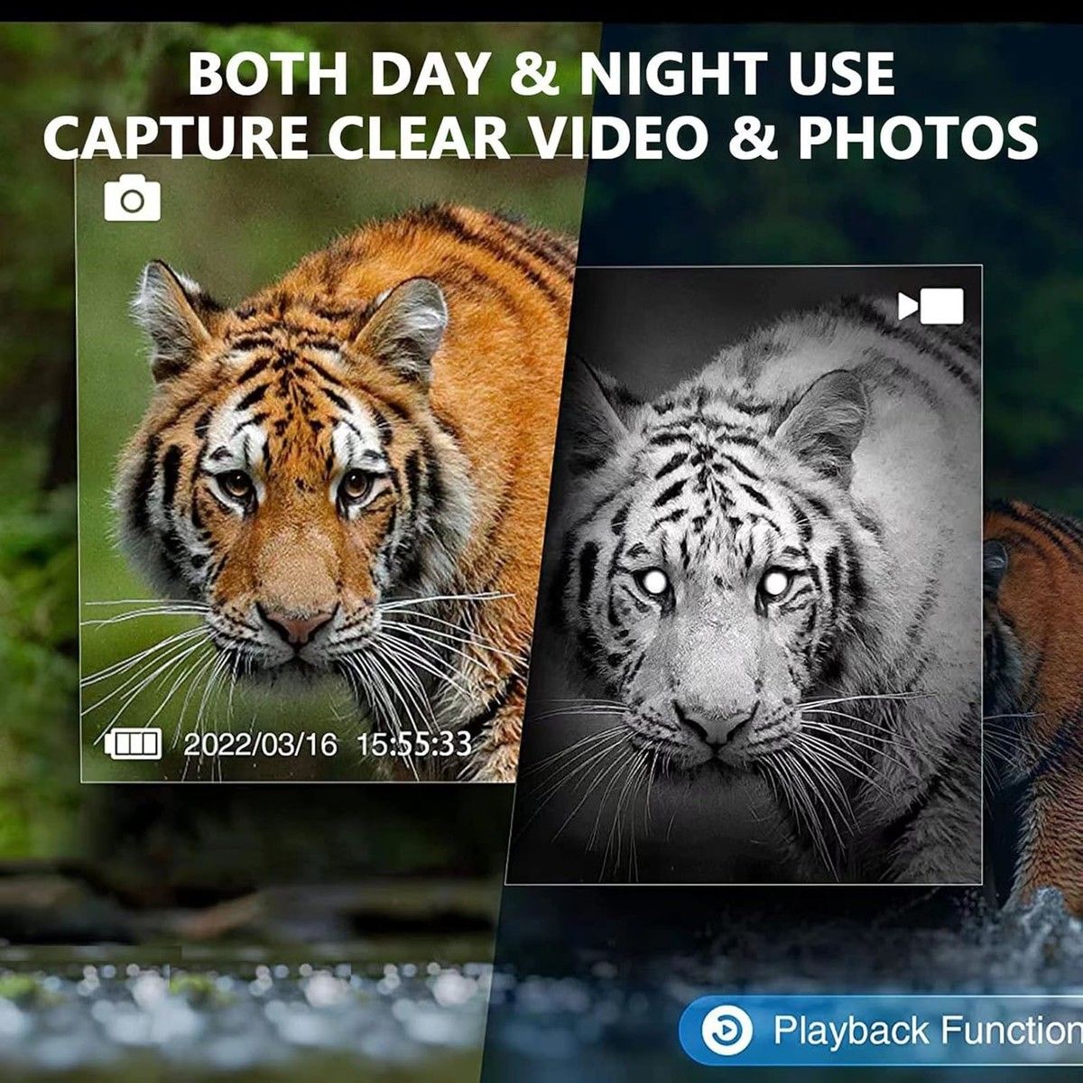 https://img.bestdeals.co.nz/products_pictures/780/78077_747686_F.jpg