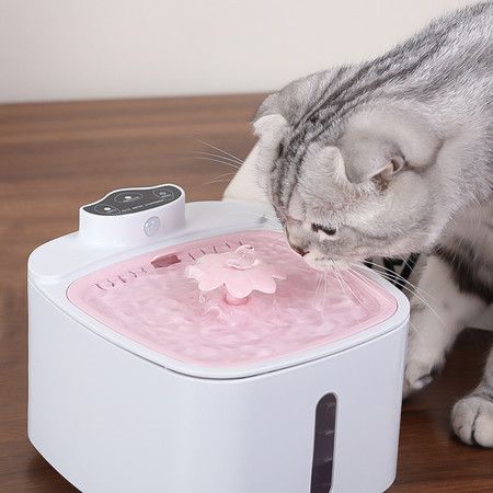 https://img.bestdeals.co.nz/products_pictures/782/78224_749314_F.jpg