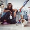 Pet Smart Rolling Ball, Cat Toy Ball, Electric Cat Toy Ball, Self Entertainment Cat Ball, Indoor Cat Toys, Cat Puzzle Toy, Cat Balls for Playing and Interaction, Perfect for Cat Lovers, Grey