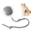 Pet Smart Rolling Ball, Cat Toy Ball, Electric Cat Toy Ball, Self Entertainment Cat Ball, Indoor Cat Toys, Cat Puzzle Toy, Cat Balls for Playing and Interaction, Perfect for Cat Lovers, Grey