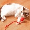Pet Smart Rolling Ball, Cat Toy Ball, Electric Cat Toy Ball, Self Entertainment Cat Ball, Indoor Cat Toys, Cat Puzzle Toy, Cat Balls for Playing and Interaction, Perfect for Cat Lovers, Red