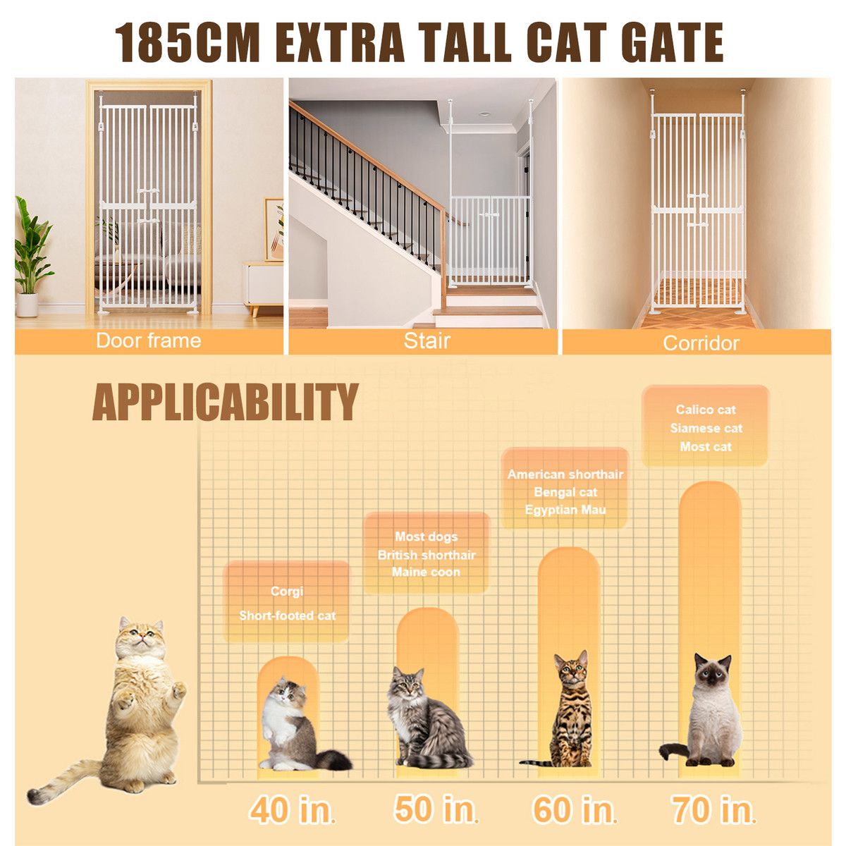 https://img.bestdeals.co.nz/products_pictures/783/78362_750685_F.jpg