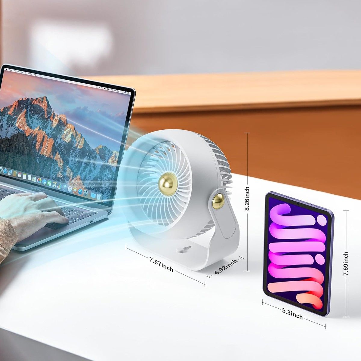 https://img.bestdeals.co.nz/products_pictures/784/78407_751319_F.jpg