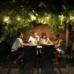 Solar String Lights and Mobile Charging Bundle with a Lumintrail Keychain Light