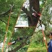 Manual Pole Saw Tree Pruner Extendable Branch Pruning Trimmer Trimming Cutter with 8 Fibreglass Rods Sharp Steel Blades Scissors