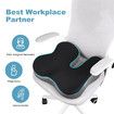 Pressure Relief Seat Cushion for Long Period Sitting on Office Chair, Wheelchair, Car Seat, Home Seat, Memory Foam Hemorrhoids Pillow for Hip, Tailbone