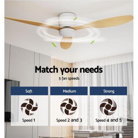 https://img.bestdeals.co.nz/products_pictures/786/78620_753465_F.jpg
