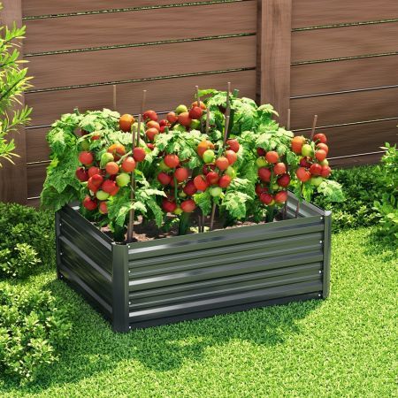 https://img.bestdeals.co.nz/products_pictures/786/78691_753911_F.jpg