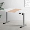 Artiss Standing Desk Electric Sit Stand Desks 120CM