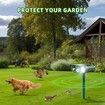 Ultrasonic Cat Deterrent,Solar Powered Deterrent with Motion Sensor and Flashing Lights Outdoor Solar Farm Garden Yard Device