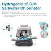 Bestway Hydrogenic Saltwater Chlorinator 12g/h Salt Water Self Cleaning Chlorine Generator Generating System for Above Ground Swimming Pools