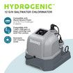 Bestway Hydrogenic Saltwater Chlorinator 12g/h Salt Water Self Cleaning Chlorine Generator Generating System for Above Ground Swimming Pools
