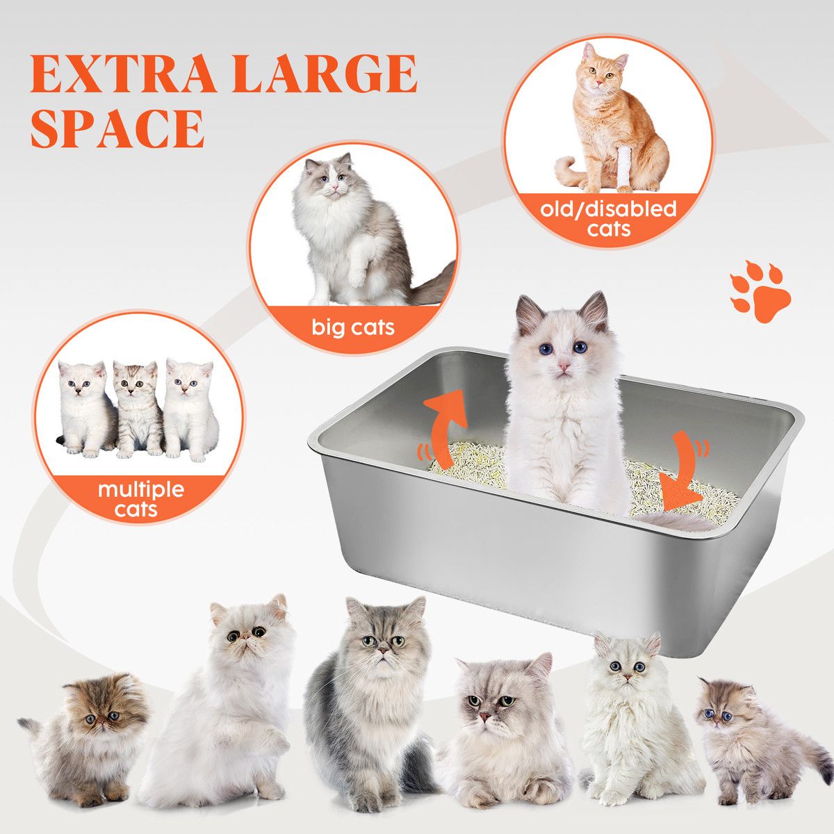 https://img.bestdeals.co.nz/products_pictures/791/79195_758180_F.jpg