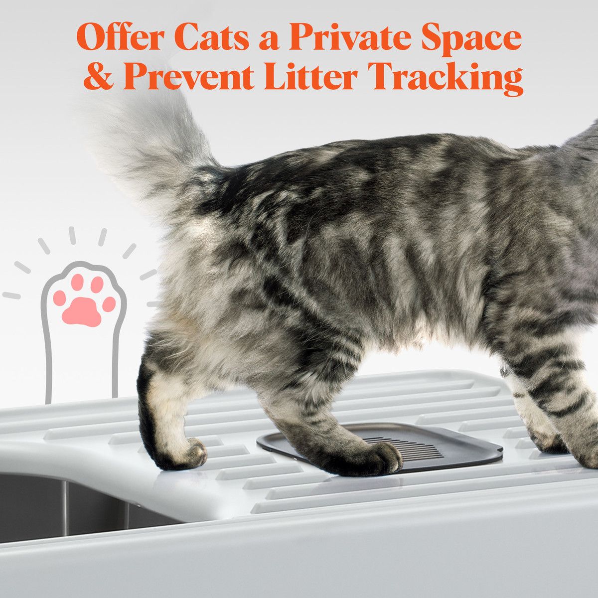 https://img.bestdeals.co.nz/products_pictures/791/79195_758182_F.jpg