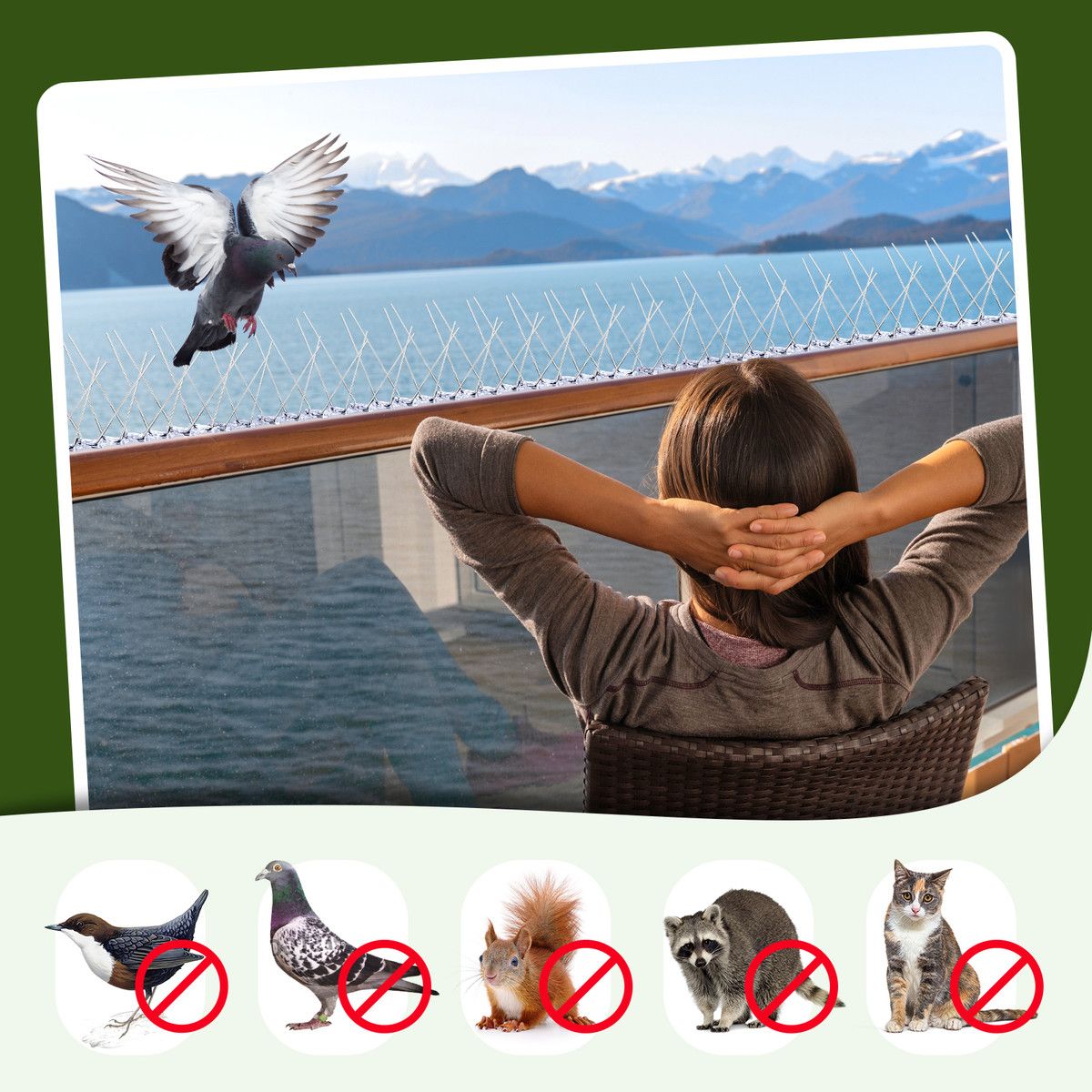 https://img.bestdeals.co.nz/products_pictures/792/79253_759245_F.jpg