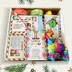Christmas Elf Kit 24 Days of Christmas Countdown 2025 Xmas on the Shelf Fun Cards Activities Props Accessories Lovers Gifts