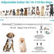 Rechargeable Dog Electric Training Collar with Remote for Small Medium Large Dogs with Beep, Vibration, Safe Shock Modes (Black)