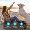 Rechargeable Dog Electric Training Collar with Remote for Small Medium Large Dogs with Beep, Vibration, Safe Shock Modes (Black)