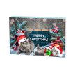 24 Day Cat Advent Calendar Christmas Toys Countdown with Catnip Mice Feather Teaser and Ball Bells for Kittens and Cat Lovers